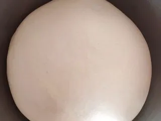 猪猪椰蓉小面包,这时候面团也发酵好了，发酵好的面团有原来2个大小。