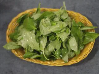 意面经典cp 青酱君,控水20分钟。如果着急也可以用厨房用纸吸水。