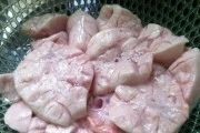 煮烀猪肺的做法详解（家庭美食，味蕾享受）