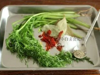 自制俄式酸黄瓜,香料们，茴香切段，辣椒切开