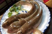 清炖楞蹦鱼海鲶鱼,营养美味