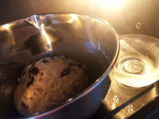 蔓越莓全麦面包,7.进行发酵，尽量放在温暖的地方，我的方法就是放在烤箱里面，旁边放一碗开水，原理就是让面团呆在温暖湿润的环境里，让酵母菌发酵起来