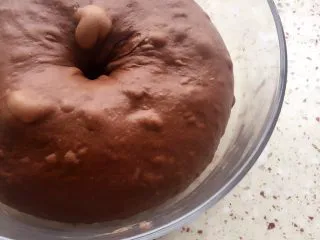 可可麻薯软欧包,面团发酵至原来大小的2-3倍 手指戳一洞不回缩就表明发酵好了