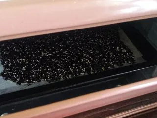 香酥紫菜脆脆,烤箱上下管180度烤十五分钟（根据自己家的烤箱温度适当调节）