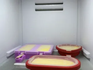 芒果雪糕（无冰渣）,盖盖着盖子冷冻3小时以上