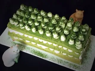 抹茶芒果裸蛋糕,效果出来了，是不是觉得很有食欲啊。