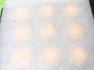 南瓜喜饼+芝麻核桃味,烤箱预热180度，时间10分钟，发酵后的面团铺上烤盘纸。