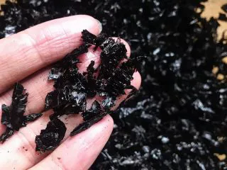 香酥紫菜脆脆,食材处理： 将紫菜用剪刀剪成适合自己宝宝食用的大小（月龄小的宝宝也可以用研磨机打碎）