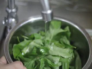 意面经典cp 青酱君,罗勒摘叶去根流水冲洗一遍。