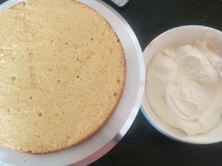 贺寿双层蛋糕(10＋6寸),打一份奶油夹心奶油300克。