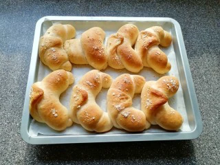 燕麦全麦羊角包,胖乎乎的羊角包出炉啦!