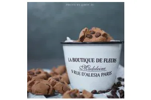 巧克力豆玛格丽特饼干