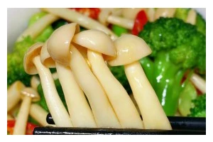 清爽海鲜菇美食大全（用海鲜菇轻松做出口感清爽的美味）