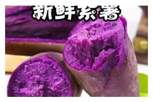 紫薯旋风红薯包——美味的营养早餐（做法详解，营养满分，体验口感极佳）