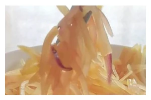 一道经典家常菜——洋葱炒土豆（口感鲜美，简单易做的下饭菜）