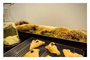 自制榴莲酥，美味可口的做法与分享！（榴莲爱好者必备，家庭小烘焙好帮手。）