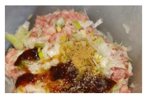 美食家必试，猪肉元葱胡萝卜包子的制作方法（健康美味，自制包子让你大饱口福）