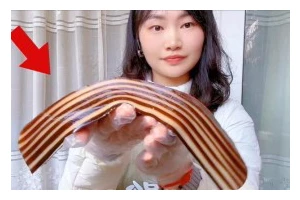 椰香浓郁，回味无穷（椰香浓郁，回味无穷）