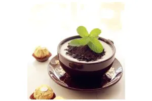 酸奶奥利奥水果盆栽