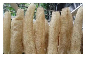 丝瓜烙，清爽夏日美食（以丝瓜为主角的健康料理，让你吃出清凉）