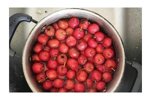 山楂红糖酱的制作方法（享受美味与健康，快速制作自家专属酱料）