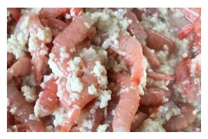 美味可口的糟虾，让你流连忘返（教你如何制作口感极佳的糟虾）