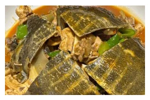 冰糖甲鱼，营养美味的佳肴