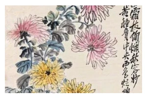 霜降秋菊，清雅别致的菊花茶制作方法（传统工艺，精制而成，茶香鲜美，花香四溢）