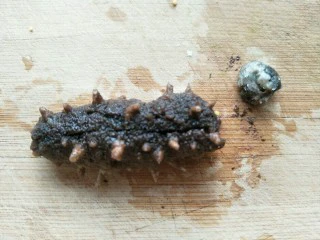 海参海木耳汤,海参洗净，去牙嘴。