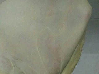 纯牛奶小吐司,出膜了