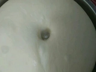 纯牛奶小吐司,第二天早上取出，手指沾点面粉插个洞，不塌陷不回缩即第一次发酵完成