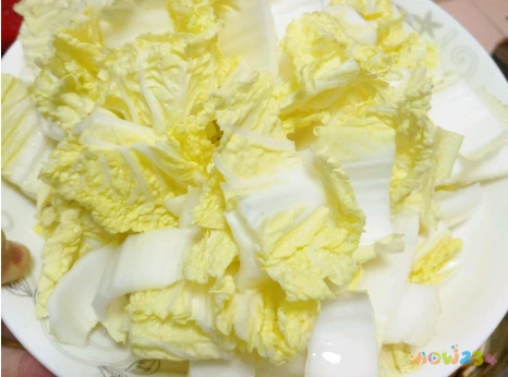 猪肉家常菜有几种做法_家常菜 猪肉_猪肉家常菜100例