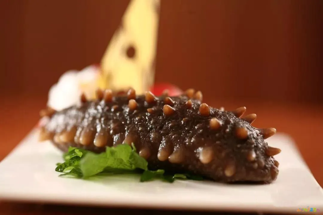 茄子海参做法大全家常做法大全_海参鱿鱼的家常做法大全_炒海参虾仁做法大全家常做法大全