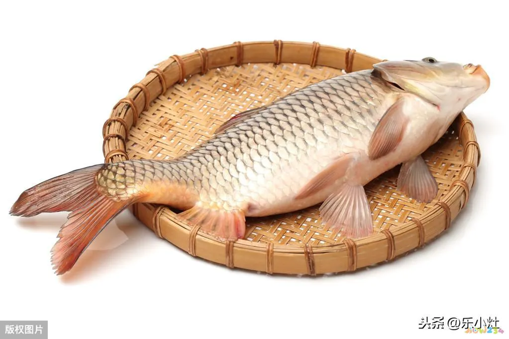 家常炖鱼的做法和步骤窍门_怎么炖鱼好吃家常做法_好吃家常做法炖鱼视频