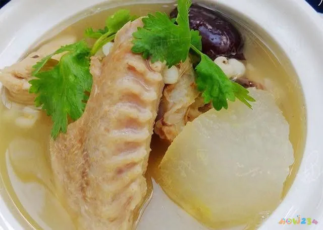 老鸭汤的家常做法大全（13道滋补养气老鸭汤做法）