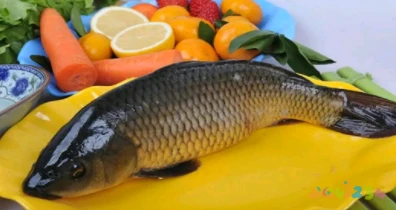 家常豫菜鲜虾烩时蔬_家常豫菜十大代表菜_家常的豫菜