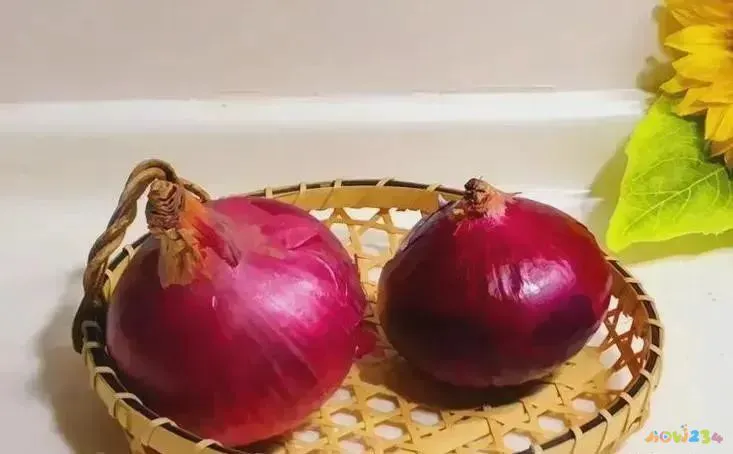 洋葱炒好吃_洋葱简单炒法_炒洋葱的家常做法