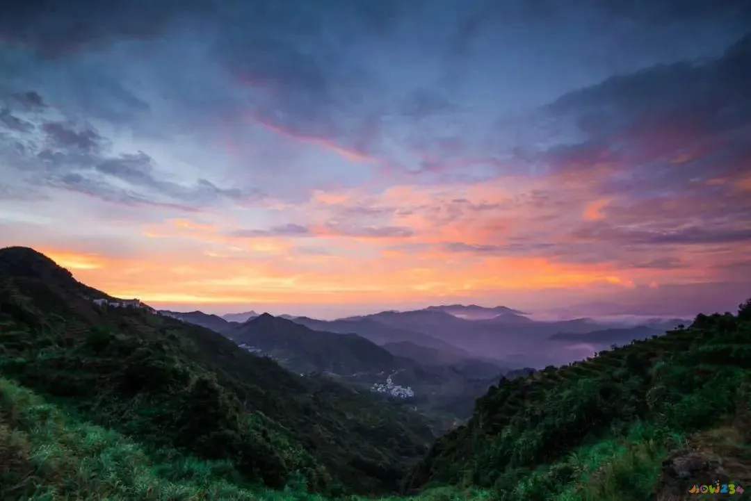 梅花参烹制_家常做法梅花参怎么做_梅花参的家常做法