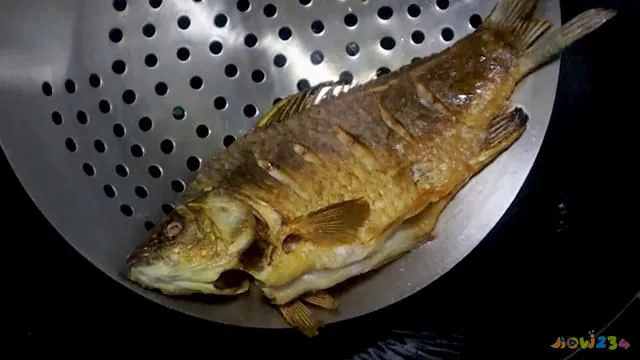 清炖小鲫鱼豆腐汤的家常做法（鲫鱼豆腐汤的家常做法）(4)