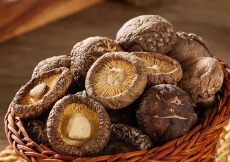 香菇炖鸡家常做法_怎样做香菇炖鸡窍门_家常香菇炖鸡的做法大全