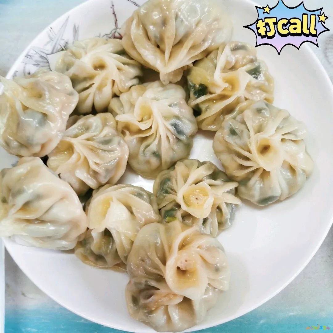 大厨教馄饨馅的做法视频_家常馄饨馅的做法_家常馄饨馅的做法大全窍门