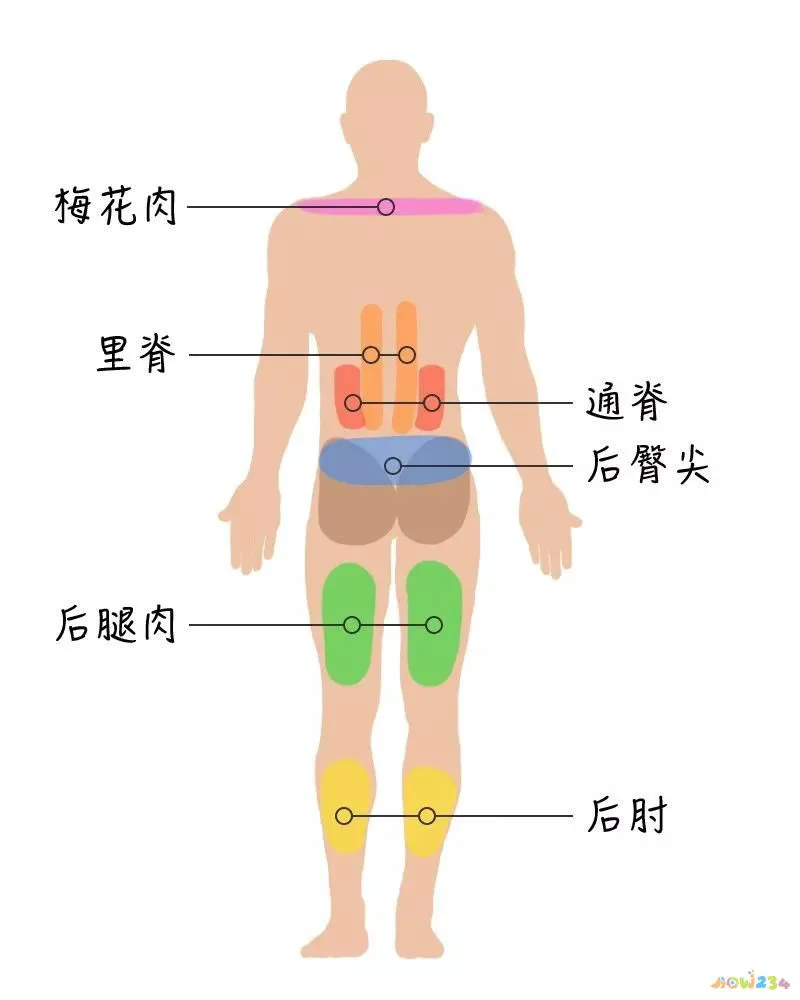 记住我忘记我_文怡家常菜 红烧肉_包饺子买什么部位猪肉