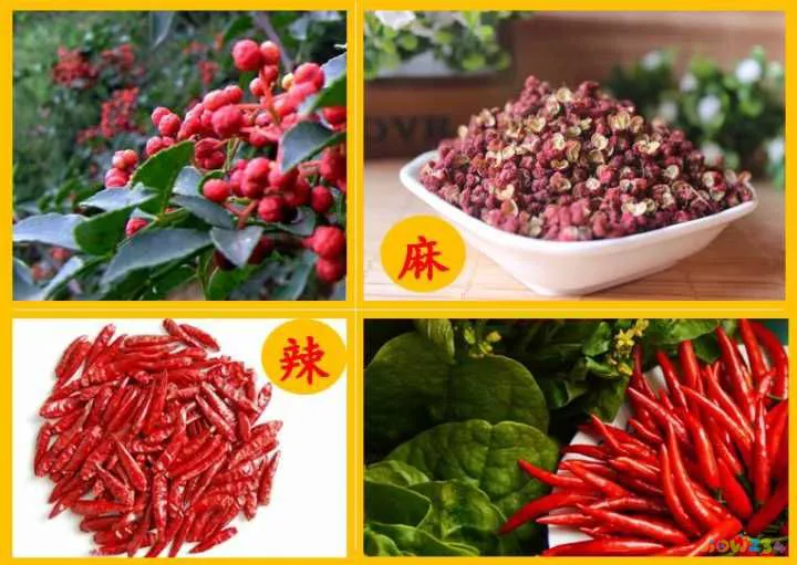 四川家常冒菜的做法_四川家常冒菜的做法_四川冒菜的做法