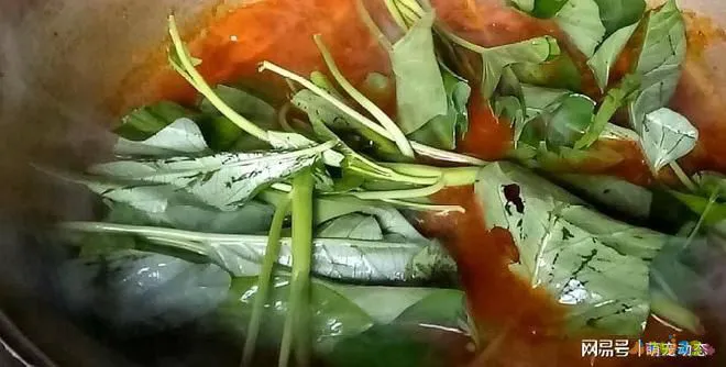 青菜的做法大全家常_青菜炒面条的家常做法_青菜做法大全家常