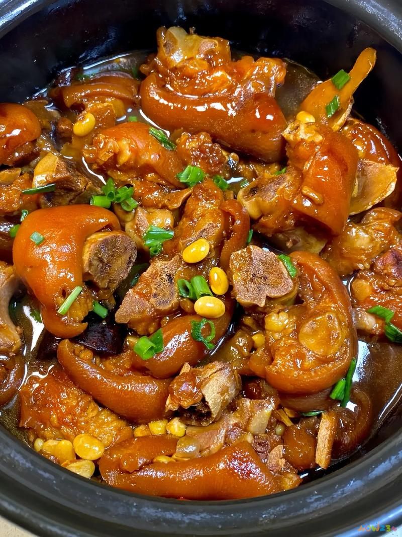 家庭版的酱猪蹄儿怎么做_家常酱猪蹄的做法_酱猪蹄的家常做法