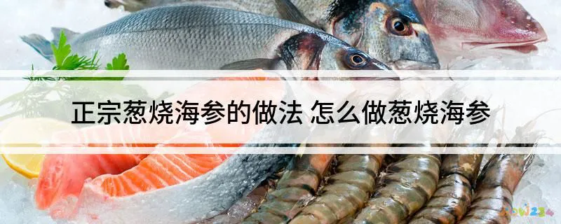 葱烧海参咋做_葱烧海参的家常做法_葱烧海参怎样烧好吃