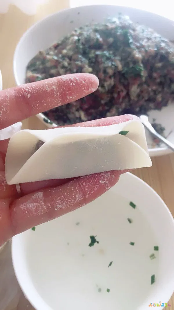 家常混沌包法_包混沌视频8种包法_烤肉串的做法混沌的包法