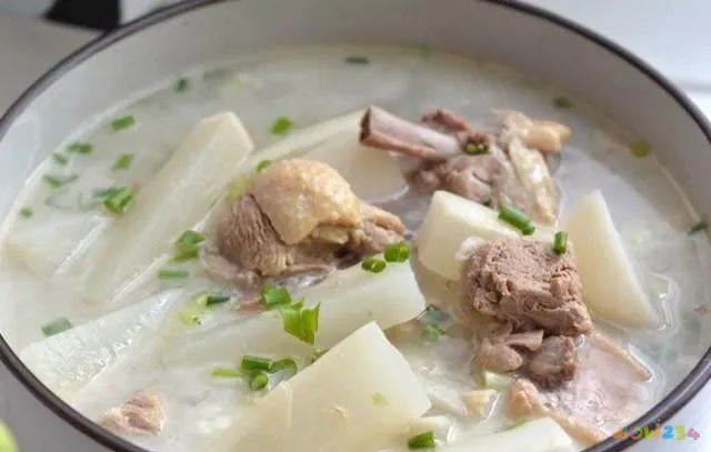 老鸭汤的家常做法大全（13道滋补养气老鸭汤做法）