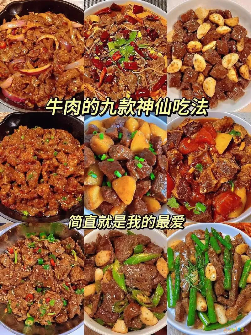 牛肉家常红烧做法大全_牛肉做法红烧_家常红烧牛肉