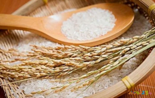 储存粮食有哪些方法